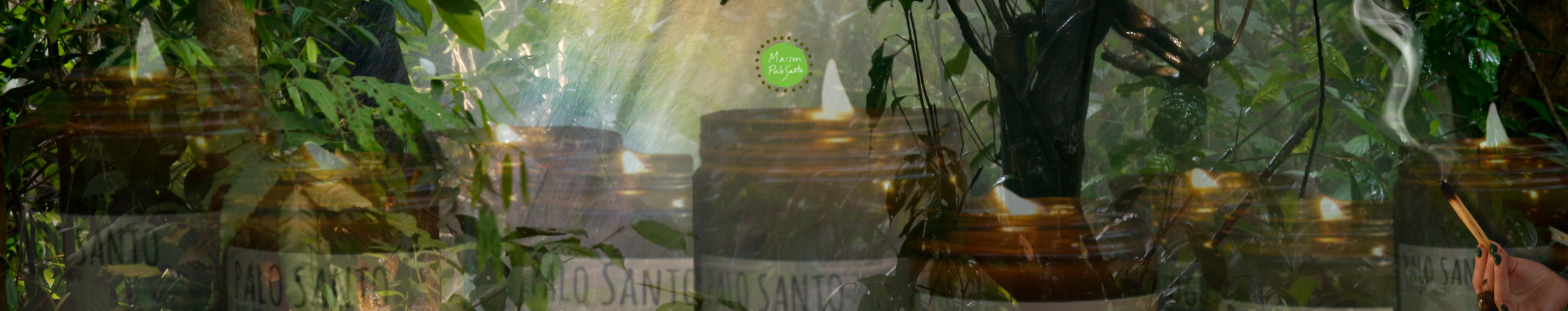 510 H x W 2565 banner (2)