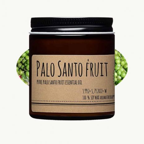 Palo Santo Fruit Candle